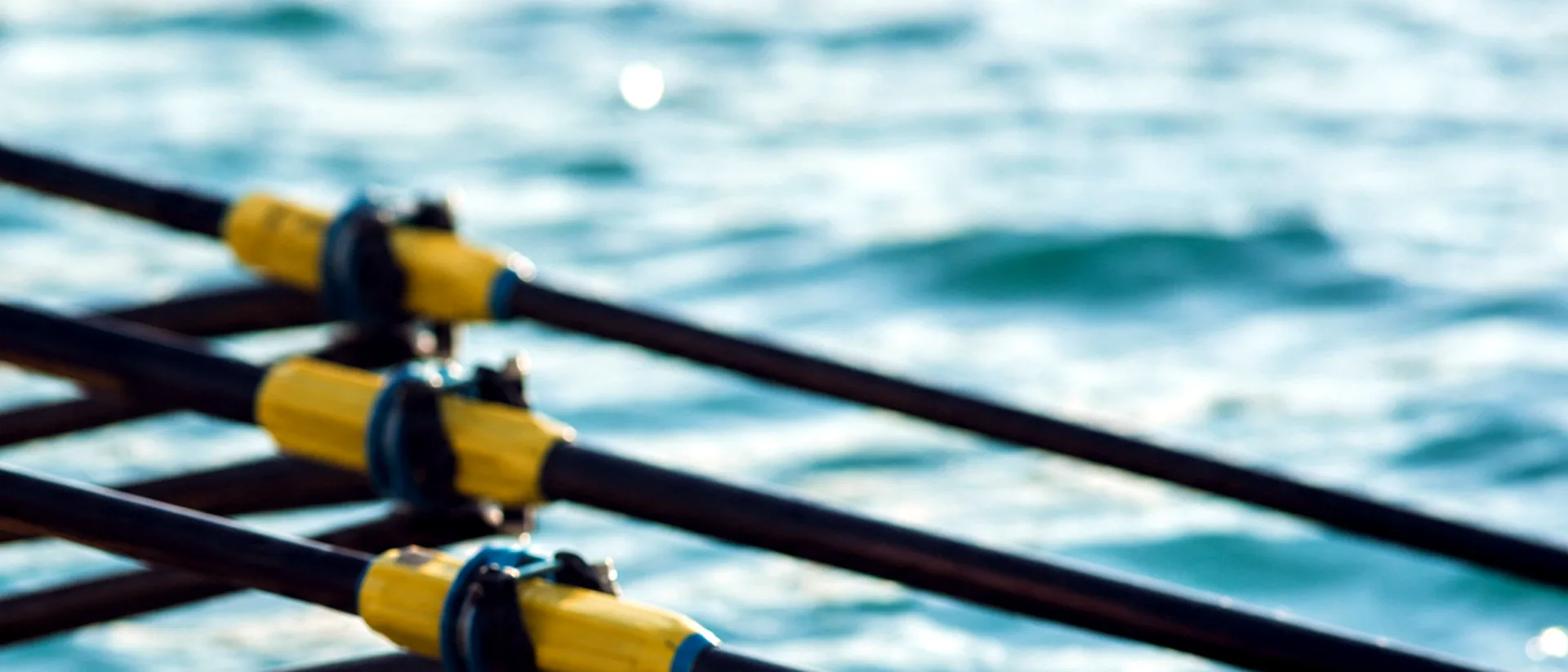 Close detail of rowing oars over sunlit water.